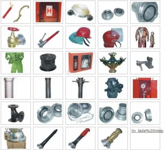 ANINOASA TIM prevenire si stingere a incendiilor Timis