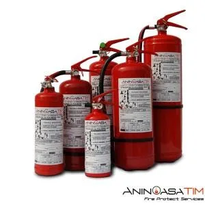 ANINOASA TIM prevenire si stingere a incendiilor Timis