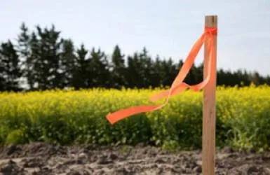 Topografie Bucuresti