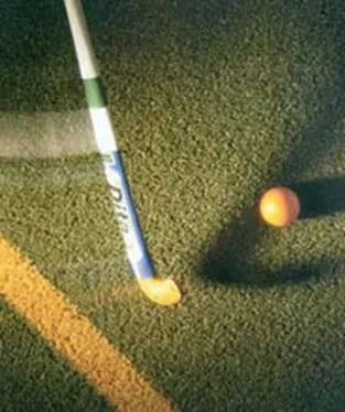 Cluj -Napoca - Terenuri de sport cu gazon artificial