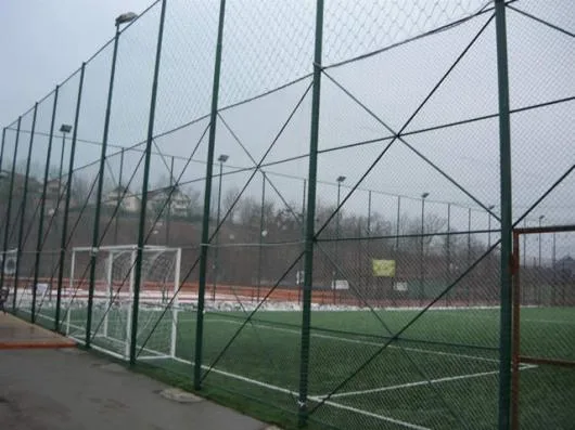 Cluj -Napoca - Terenuri de sport cu gazon artificial