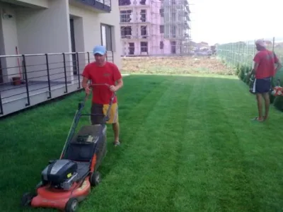 Copaceni / Ilfov - Proiectare gradini