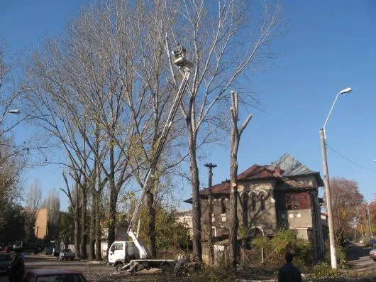 Copaceni / Ilfov - Proiectare gradini