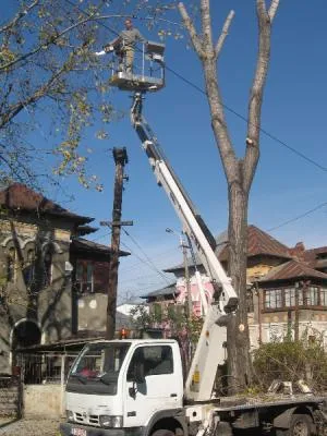 Copaceni / Ilfov - Proiectare gradini