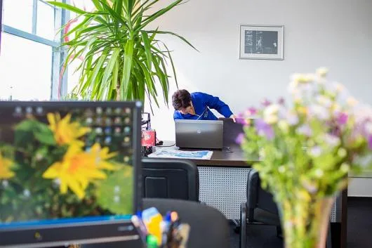 Deep Serv Servicii de curatenie Bucuresti