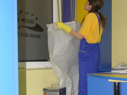 Deep Serv Servicii de curatenie Bucuresti