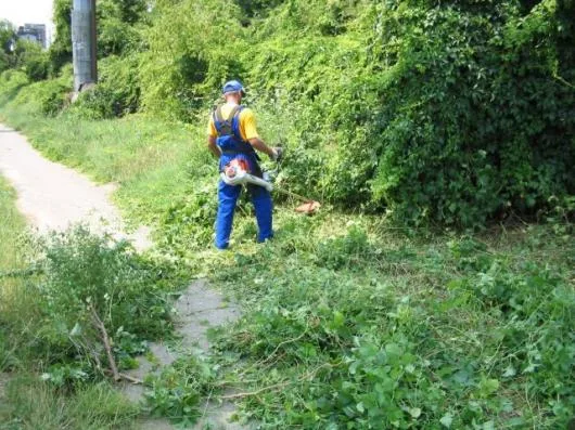 Deep Serv Servicii de curatenie Bucuresti
