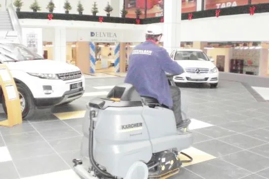 Curatenie profesionala Bihor