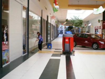 Curatenie profesionala Bihor