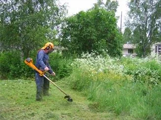 Ekara Cleaning curatenie Constanta