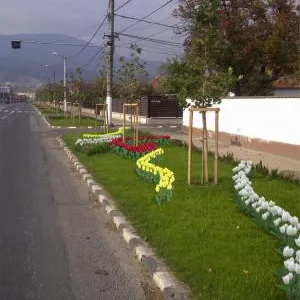 Sisteme irigatii Bucuresti