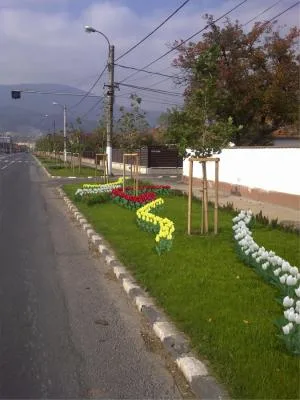 Sisteme irigatii Bucuresti