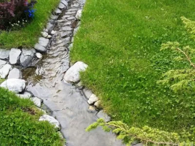 Speedy Green amenajari spatii verzi Brasov