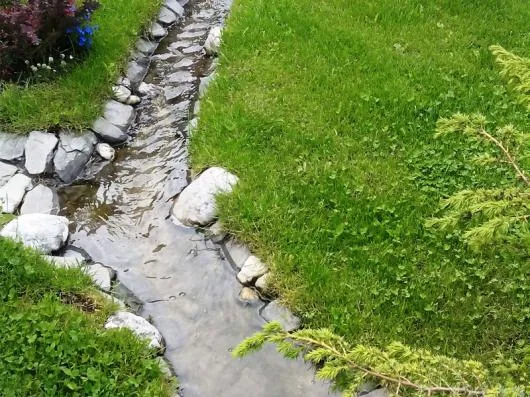 Speedy Green amenajari spatii verzi Brasov
