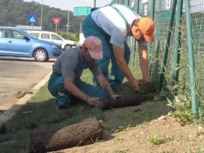 Speedy Green amenajari spatii verzi Brasov