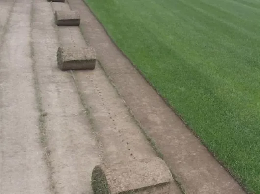 Speedy Green amenajari spatii verzi Brasov