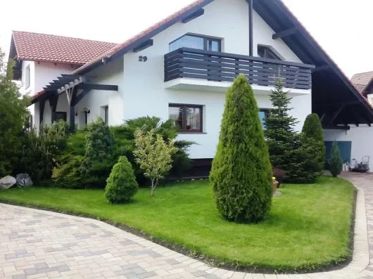 Speedy Green amenajari spatii verzi Brasov