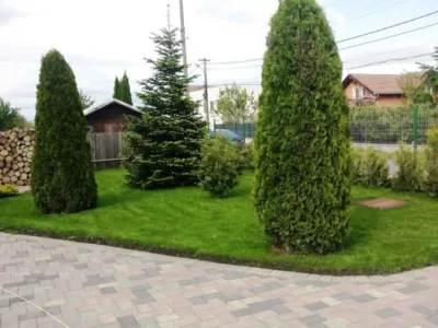 Speedy Green amenajari spatii verzi Brasov