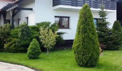 Speedy Green amenajari spatii verzi Brasov