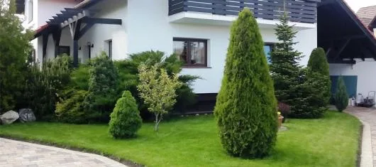 Speedy Green amenajari spatii verzi Brasov
