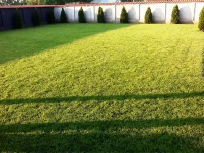 Speedy Green amenajari spatii verzi Brasov