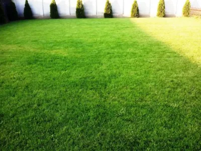 Speedy Green amenajari spatii verzi Brasov