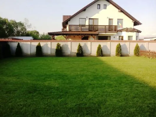 Speedy Green amenajari spatii verzi Brasov