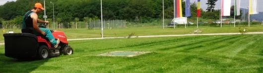 Speedy Green amenajari spatii verzi Brasov
