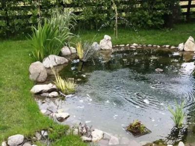 Speedy Green amenajari spatii verzi Brasov