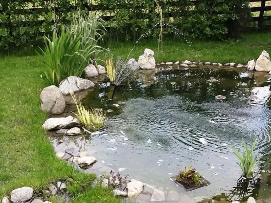 Speedy Green amenajari spatii verzi Brasov