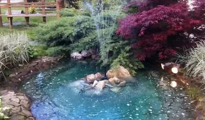 Speedy Green amenajari spatii verzi Brasov