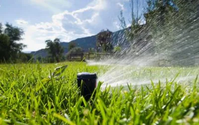 Speedy Green amenajari spatii verzi Brasov