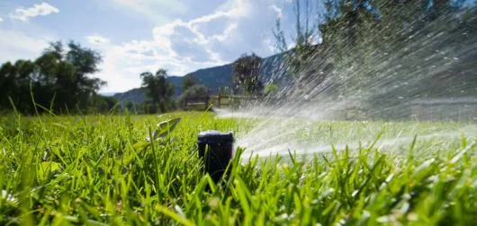 Speedy Green amenajari spatii verzi Brasov