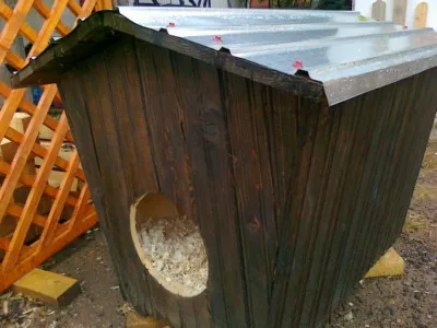 Atelier tamplarie din lemn - Bucuresti