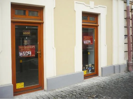 AS.SEB Company restaurare Iasi