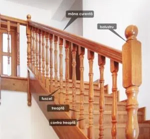 AS.SEB Company restaurare Iasi