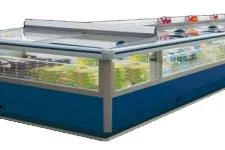 Service vitrine frigorifice si camere frigorifice Bucuresti