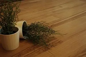 Producator de parchet natural - Visina / Dambovita