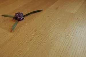 Producator de parchet natural - Visina / Dambovita