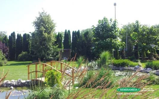 Feldioara / Brasov - Amenajari peisagistice complexe