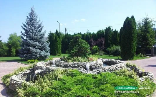 Feldioara / Brasov - Amenajari peisagistice complexe