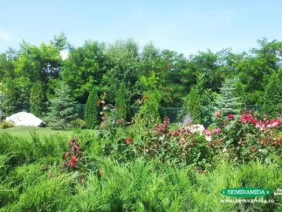 Feldioara / Brasov - Amenajari peisagistice complexe