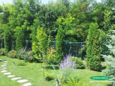 Feldioara / Brasov - Amenajari peisagistice complexe
