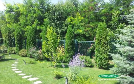 Feldioara / Brasov - Amenajari peisagistice complexe
