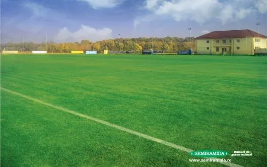 Feldioara / Brasov - Amenajari peisagistice complexe