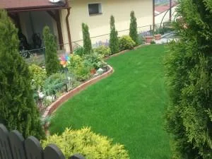 Targu Mures - Servicii profesionale de peisagistica