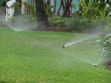 Sabareni / Giurgiu - Amenajari peisagistice complete