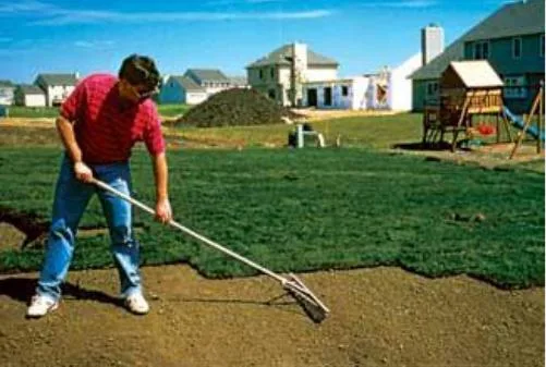 Sabareni / Giurgiu - Amenajari peisagistice complete