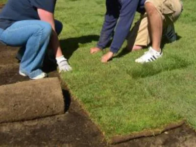 Sabareni / Giurgiu - Amenajari peisagistice complete