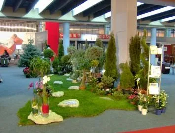 Sabareni / Giurgiu - Amenajari peisagistice complete